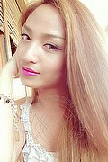 Pescara Trans Escort Katrina Asiatica 393 50 20 179 foto selfie 62