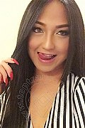 Milano Trans Katrina Asiatica 393 50 20 179 foto selfie 38