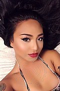 Milano Trans Escort Katrina Asiatica 393 50 20 179 foto selfie 34