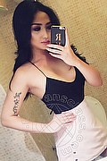 Milano Trans Katrina Asiatica 393 50 20 179 foto selfie 25