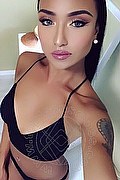 Milano Trans Katrina Asiatica 393 50 20 179 foto selfie 17