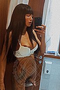 Piombino Trans Escort Sara Souza 392 47 67 824 foto selfie 17
