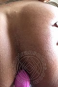 Pesaro Trans Alessandra Porto 331 98 44 579 foto selfie 23