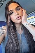 Recife Trans Escort Bella Angel  005581988073834 foto selfie 7