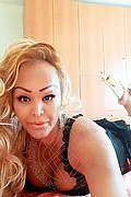 Belluno Trans Escort Ariana 329 20 48 454 foto selfie 1