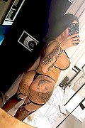 Mestre Trans Pantera Party 353 48 60 913 foto selfie 4