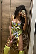 Brescia Trans Escort Miele 328 42 56 421 foto selfie 66