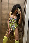 Perugia Trans Escort Miele 328 42 56 421 foto selfie 66