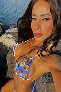 Genova Trans Nicolly Di Biaggi 389 54 63 285 foto selfie 3