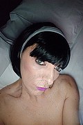 Novi Ligure Trans Escort Stefania Zanco 379 23 74 980 foto selfie 2