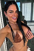 Barletta Trans Patricia Arcanjo 338 17 41 476 foto selfie 4