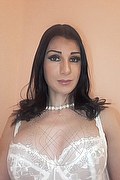 Parma Trans Escort Eliandra 344 66 23 234 foto selfie 7