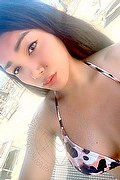 Campobasso Trans Escort Stella Dreams 389 16 86 605 foto selfie 11