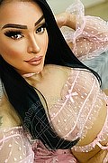 Civitanova Marche Trans Escort Patricia Ginnari 331 84 43 032 foto selfie 59