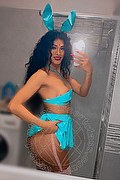 Milano Trans Escort Brunella Ricci 388 89 54 488 foto selfie 23