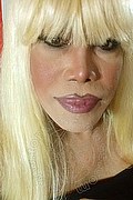 Milano Trans Nicole Vip Venturiny 353 35 38 868 foto selfie 489