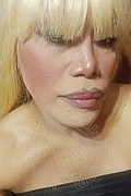 Milano Trans Nicole Vip Venturiny 353 35 38 868 foto selfie 484