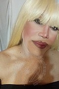 Milano Trans Escort Nicole Vip Venturiny 353 35 38 868 foto selfie 495