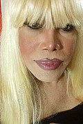 Milano Trans Escort Nicole Vip Venturiny 353 35 38 868 foto selfie 489