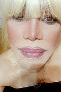 Milano Trans Escort Nicole Vip Venturiny 353 35 38 868 foto selfie 488