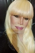 Milano Trans Escort Nicole Vip Venturiny 353 35 38 868 foto selfie 475