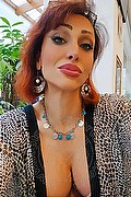 Monza Trans Escort Regina Audrey Italiana 388 98 31 116 foto selfie 102