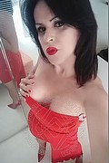 Ceres Trans Escort Raffaella Bastos  005562996339624 foto selfie 33