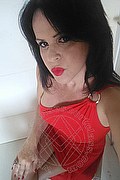 Cabo Frio Trans Escort Raffaella Bastos  005562996339624 foto selfie 31