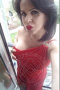 Cabo Frio Trans Raffaella Bastos  005562996339624 foto selfie 38