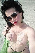 Ceres Trans Escort Raffaella Bastos  005562996339624 foto selfie 57
