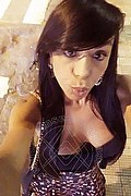 Sanremo Trans Escort Vivy  Noronha 333 18 67 209 foto selfie 12