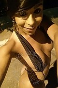 Sanremo Trans Vivy Noronha 333 18 67 209 foto selfie 14