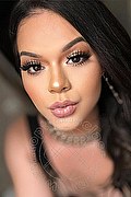 Bologna Trans Patrizia Brasiliana 344 56 89 344 foto selfie 3