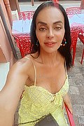 Brescia Trans Escort Kartika 349 22 31 753 foto selfie 4
