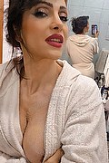 Monza Trans Escort Regina Audrey Italiana 388 98 31 116 foto selfie 85