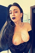 Torino Trans Escort Miss Pekin 392 58 07 446 foto selfie 34