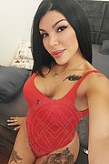 Pisa Trans Escort Alexia Baby 351 25 95 543 foto selfie 4