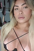 Treviso Trans Micaella Vayper 377 37 52 431 foto selfie 10