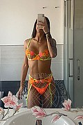Roma Trans Beatrice 327 43 93 993 foto selfie 18