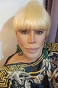 Milano Trans Nicole Vip Venturiny 353 35 38 868 foto selfie 469
