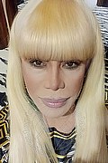Milano Trans Escort Nicole Vip Venturiny 353 35 38 868 foto selfie 470