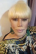 Milano Trans Escort Nicole Vip Venturiny 353 35 38 868 foto selfie 469
