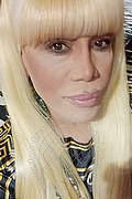 Milano Trans Escort Nicole Vip Venturiny 353 35 38 868 foto selfie 465