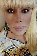 Milano Trans Escort Nicole Vip Venturiny 353 35 38 868 foto selfie 464