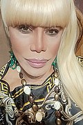 Milano Trans Escort Nicole Vip Venturiny 353 35 38 868 foto selfie 446