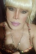 Milano Trans Nicole Vip Venturiny 353 35 38 868 foto selfie 436