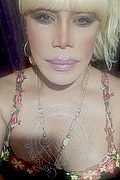 Milano Trans Escort Nicole Vip Venturiny 353 35 38 868 foto selfie 445