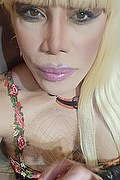 Milano Trans Escort Nicole Vip Venturiny 353 35 38 868 foto selfie 423