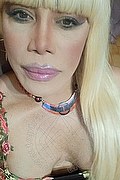 Milano Trans Escort Nicole Vip Venturiny 353 35 38 868 foto selfie 422