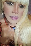 Bergamo Trans Escort Nicole Vip Venturiny 353 35 38 868 foto selfie 289